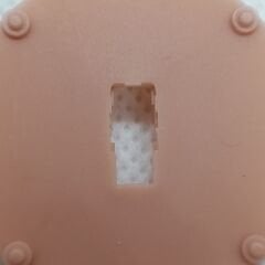 WIDEX FA/FP FACEPLATE 10CIC